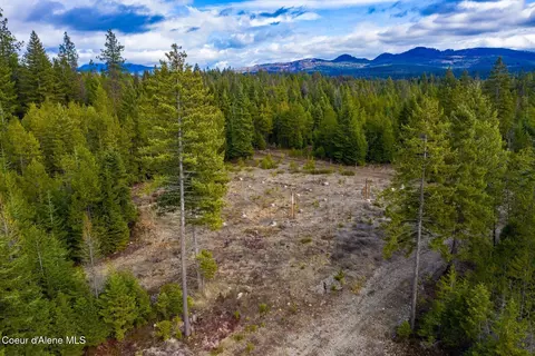 49 Zig Zag Way, Athol, ID 83801 photo 24