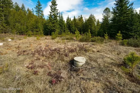 49 Zig Zag Way, Athol, ID 83801 photo 70
