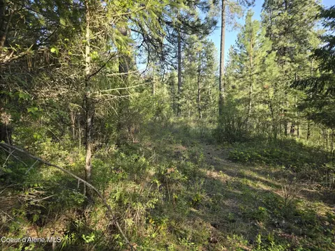 Nka Deer Rd, Harrison, ID 83833 photo 6
