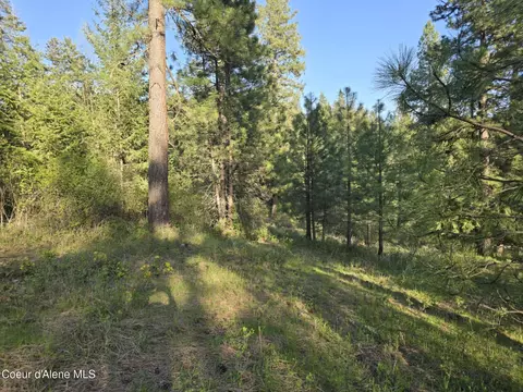 Nka Deer Rd, Harrison, ID 83833 photo 10