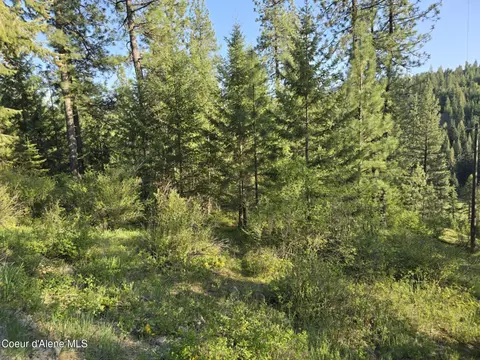 Nka Deer Rd, Harrison, ID 83833 photo 20