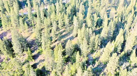 Nka Deer Rd, Harrison, ID 83833 photo 15