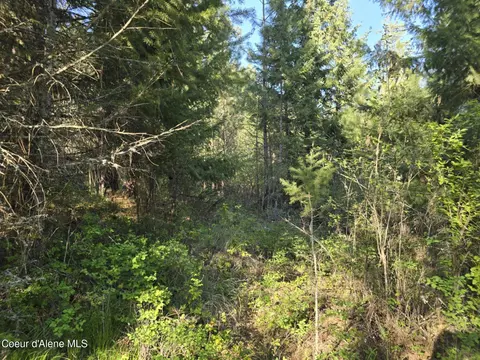 Nka Deer Rd, Harrison, ID 83833 photo 21