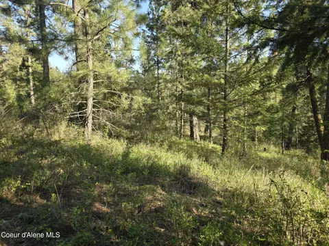 Nka Deer Rd, Harrison, ID 83833 photo 13