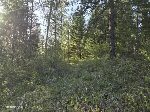 Nka Deer Rd, Harrison, ID 83833 photo 9