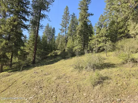 Nka Deer Rd, Harrison, ID 83833 photo 19
