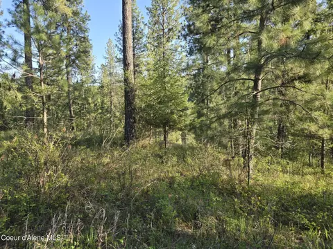 Nka Deer Rd, Harrison, ID 83833 photo 11