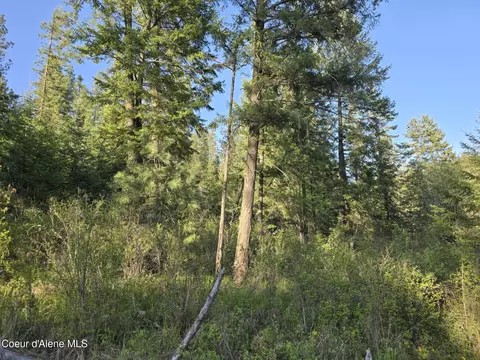 Nka Deer Rd, Harrison, ID 83833 photo 12