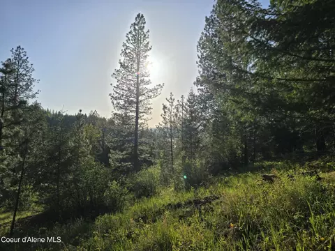Nka Deer Rd, Harrison, ID 83833 photo 2