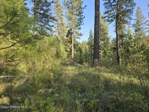 Nka Deer Rd, Harrison, ID 83833 photo 7