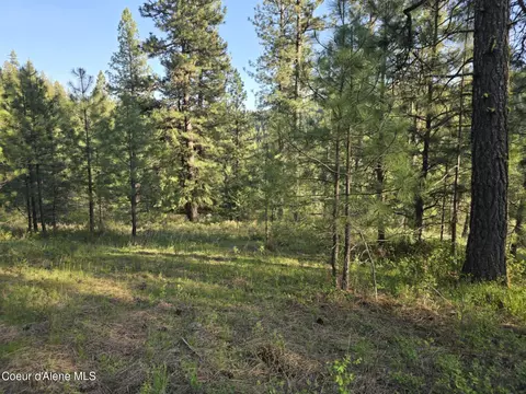 Nka Deer Rd, Harrison, ID 83833 photo 8