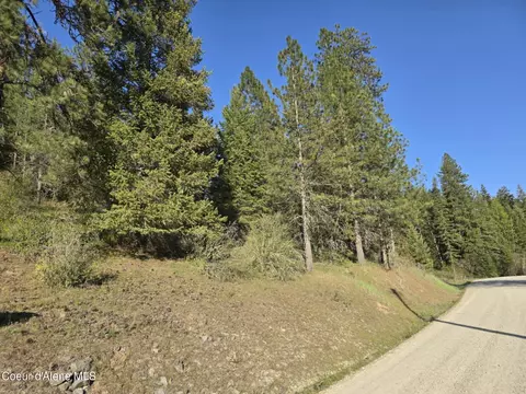 Nka Deer Rd, Harrison, ID 83833 photo 17