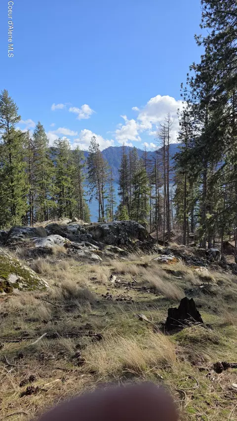 Nna N Terrace Dr, Bayview, ID 83803