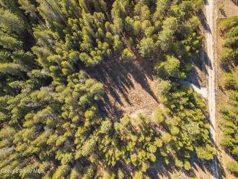 67 Pine Mdw, Athol, ID 83801 photo 6