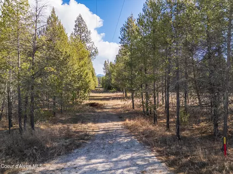 133 Pine Mdw, Athol, ID 83801 photo 5