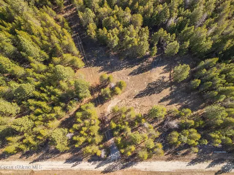 133 Pine Mdw, Athol, ID 83801 photo 6