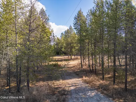 133 Pine Mdw, Athol, ID 83801 photo 4