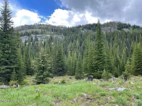 N 320 Ac Shoot Creek Road, Unincorporated, ID 83525