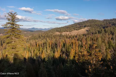 6946 E Burma Rd 50ac Rd 50ac, Harrison, ID 83833 photo 16