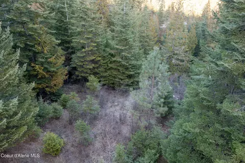 6946 E Burma Rd 50ac Rd 50ac, Harrison, ID 83833 photo 23