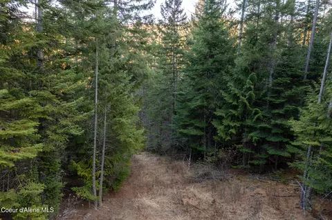 6946 E Burma Rd 50ac Rd 50ac, Harrison, ID 83833 photo 22