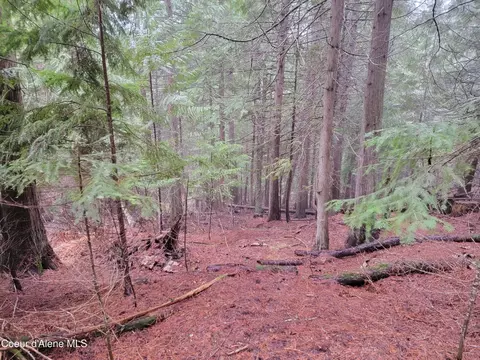 Nka Terry Trail, Priest River, ID 83856