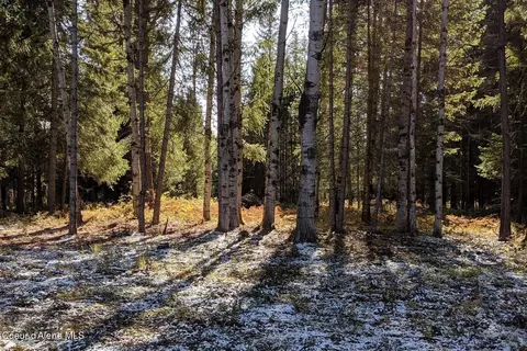 Exterior - 870 842 Samuels Rd, Sandpoint, ID 83864 photo 24 of 24