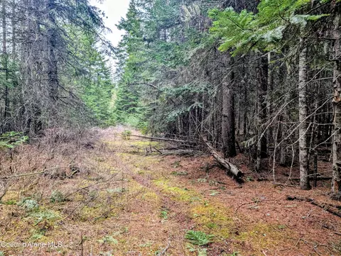 240 Buckeye Ln, Saint Maries, ID 83861