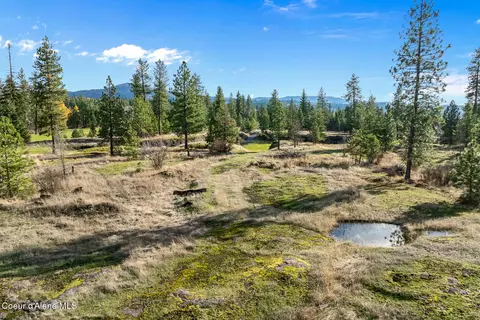 48 Jackleg Trl, Harrison, ID 83833 photo 4
