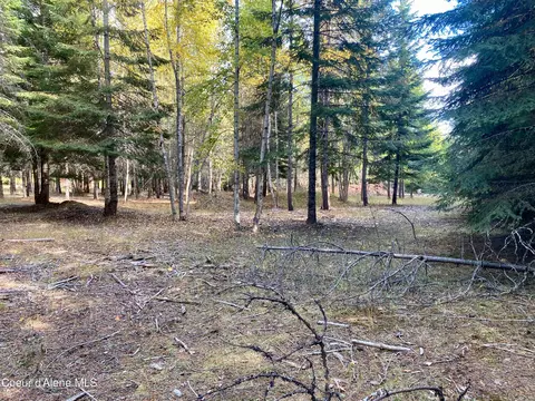 1 Cougar Road, Naples, ID 83847 photo 19
