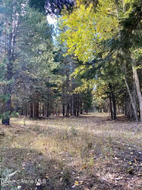 1 Cougar Road, Naples, ID 83847 photo 31