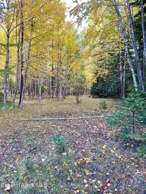 1 Cougar Road, Naples, ID 83847 photo 9