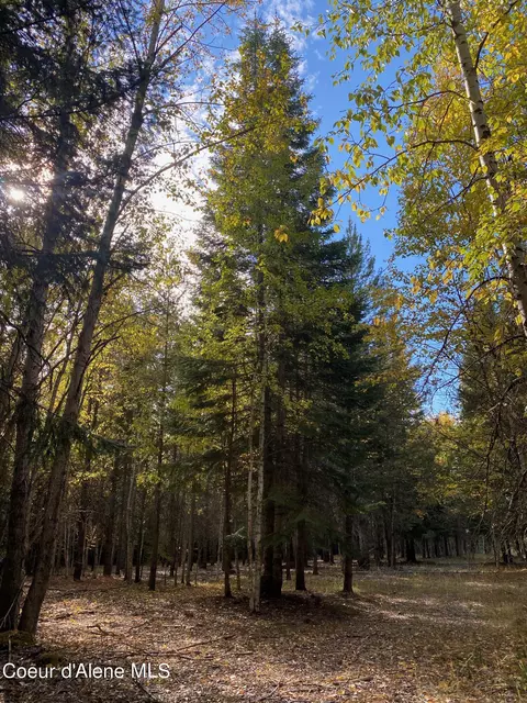 1 Cougar Road, Naples, ID 83847 photo 33