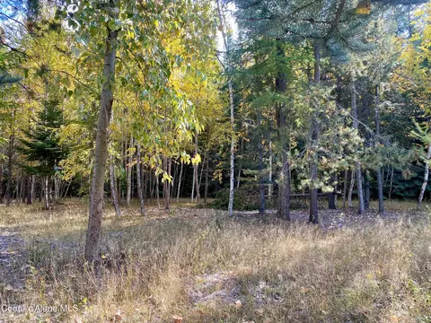 1 Cougar Road, Naples, ID 83847 photo 8