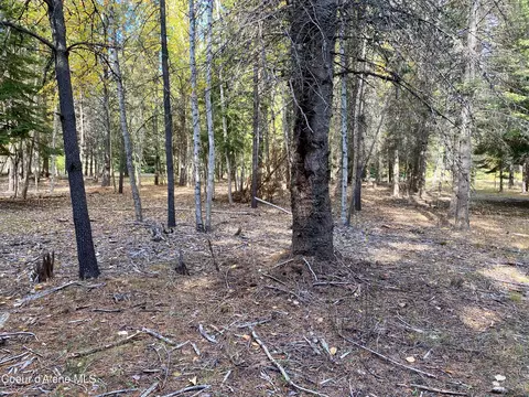 1 Cougar Road, Naples, ID 83847 photo 18