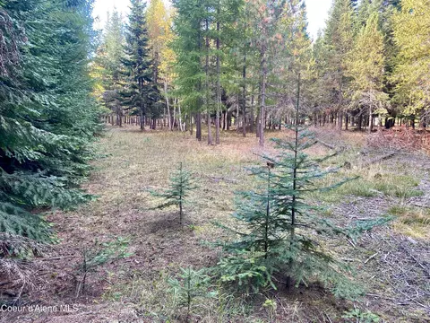 1 Cougar Road, Naples, ID 83847 photo 22
