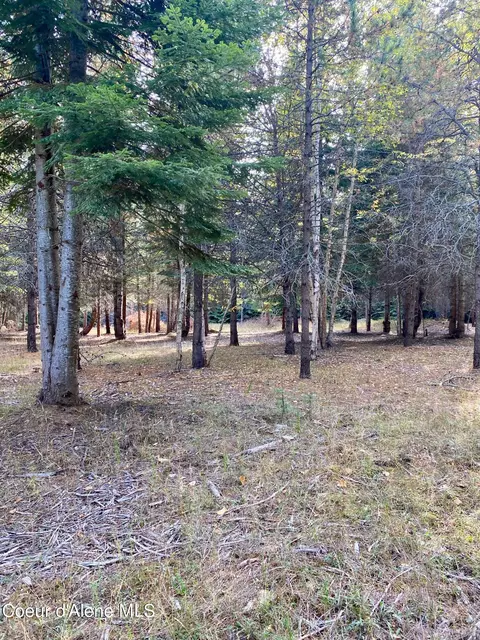 1 Cougar Road, Naples, ID 83847 photo 30