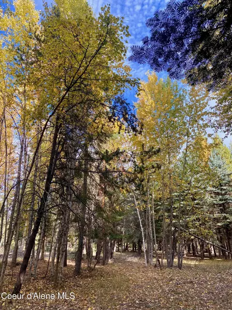 1 Cougar Road, Naples, ID 83847 photo 13