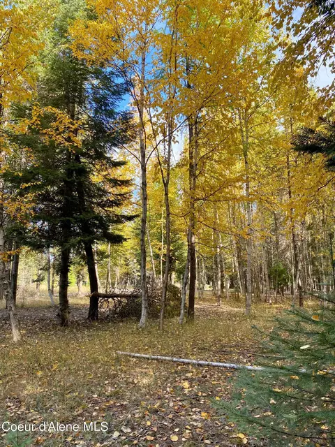 1 Cougar Road, Naples, ID 83847 photo 10