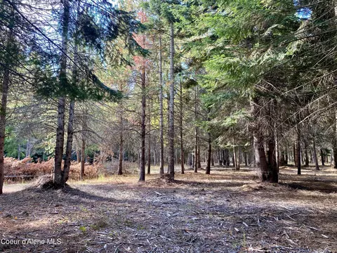 1 Cougar Road, Naples, ID 83847 photo 23