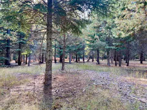 1 Cougar Road, Naples, ID 83847 photo 27