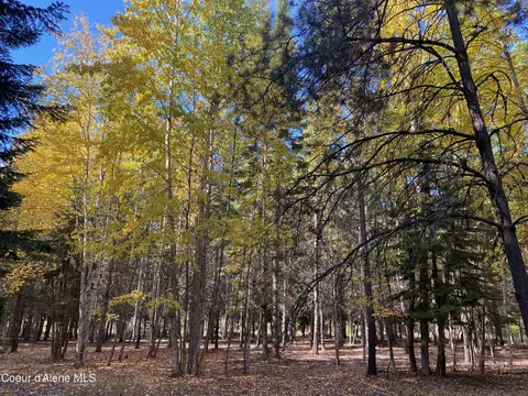 1 Cougar Road, Naples, ID 83847 photo 16