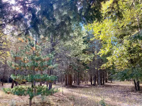 1 Cougar Road, Naples, ID 83847 photo 29