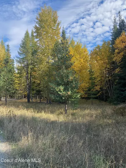 1 Cougar Road, Naples, ID 83847 photo 6