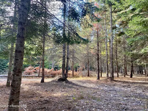 1 Cougar Road, Naples, ID 83847 photo 25