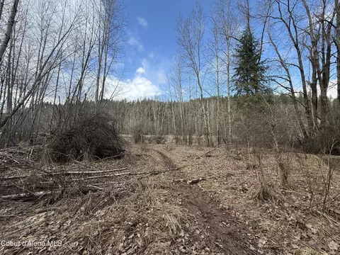 4 88 Acres Wallace Ave, Pinehurst, ID 83850 photo 10