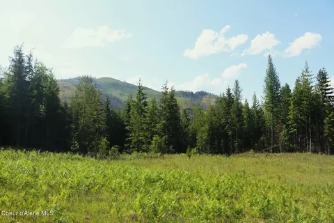 Nka Slippery Slope Trail, Priest River, ID 83856