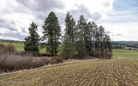 Nka Clifford Rd, Princeton, ID 83857