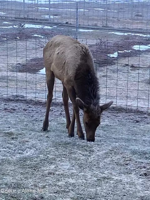 828 W Fork Eagle Creek Rd, Wallace, ID 83873 photo 53