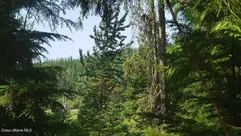 855 Meadowood Rd, Sandpoint, ID 83864 photo 27